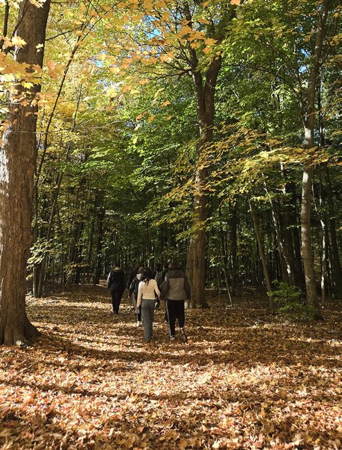 Randonnée en forêt d'automne